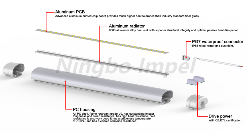 Bibliotecas Oval Linear LED Vapor Tight Light 600
